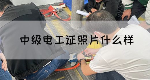 中级电工证照片什么样(图1)