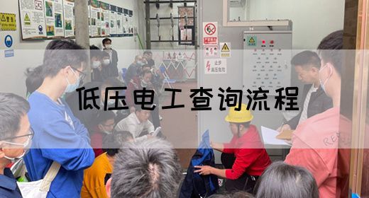 低压电工查询流程