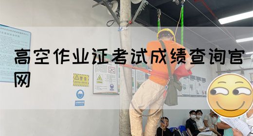高空作业证考试成绩查询官网