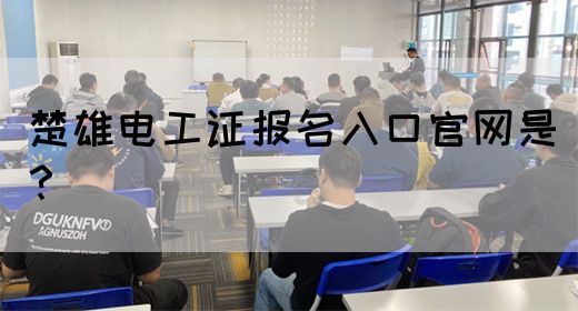 楚雄电工证报名入口官网是？