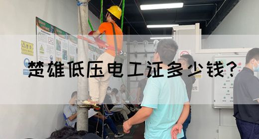 楚雄低压电工证多少钱？