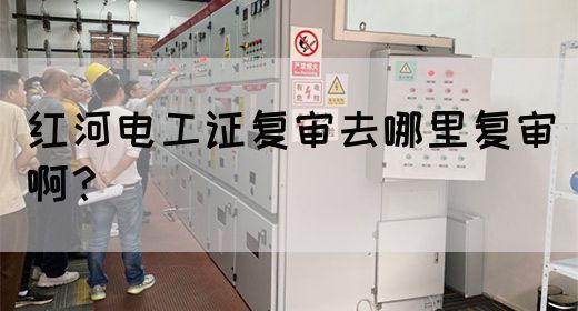红河电工证复审去哪里复审啊？