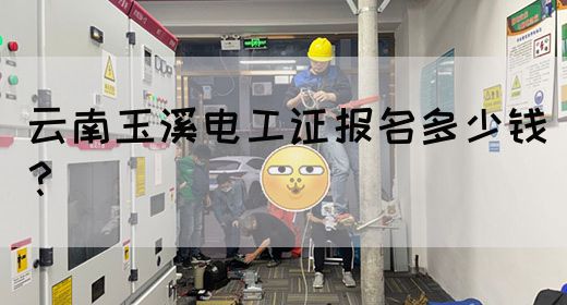 云南玉溪电工证报名多少钱？