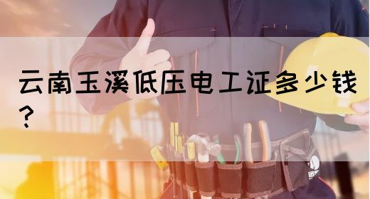 云南玉溪低压电工证多少钱？