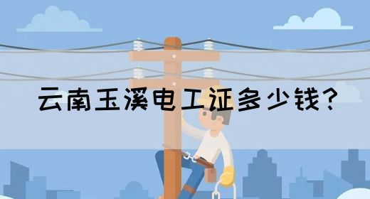 云南玉溪电工证多少钱？